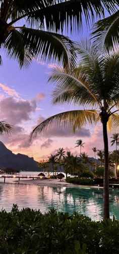 手机壁纸无水印原图851