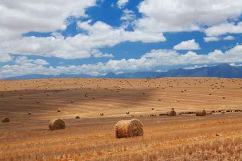 电脑壁纸自然风景614