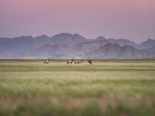 电脑壁纸自然风景708