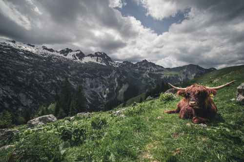 电脑壁纸自然风景666